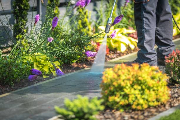 Best Patio and Deck Pressure Washing  in Hlcrest, IL